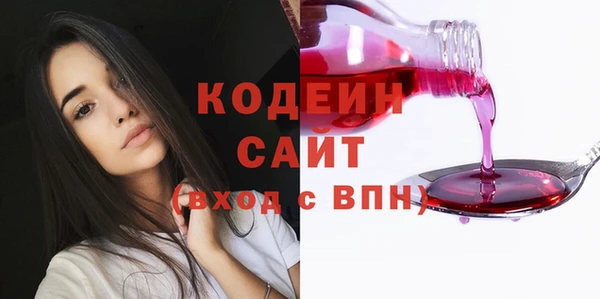дурь Алексин