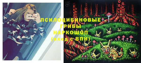 тгк Алзамай