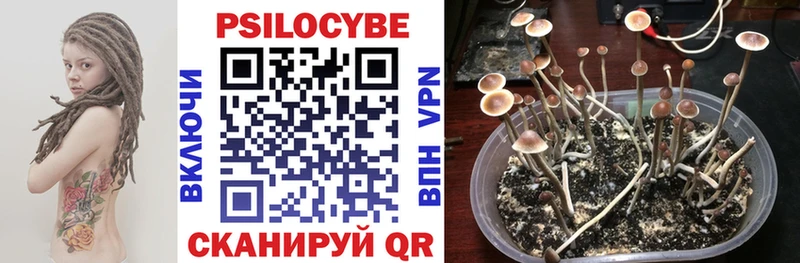Галлюциногенные грибы ЛСД Нижние Серги